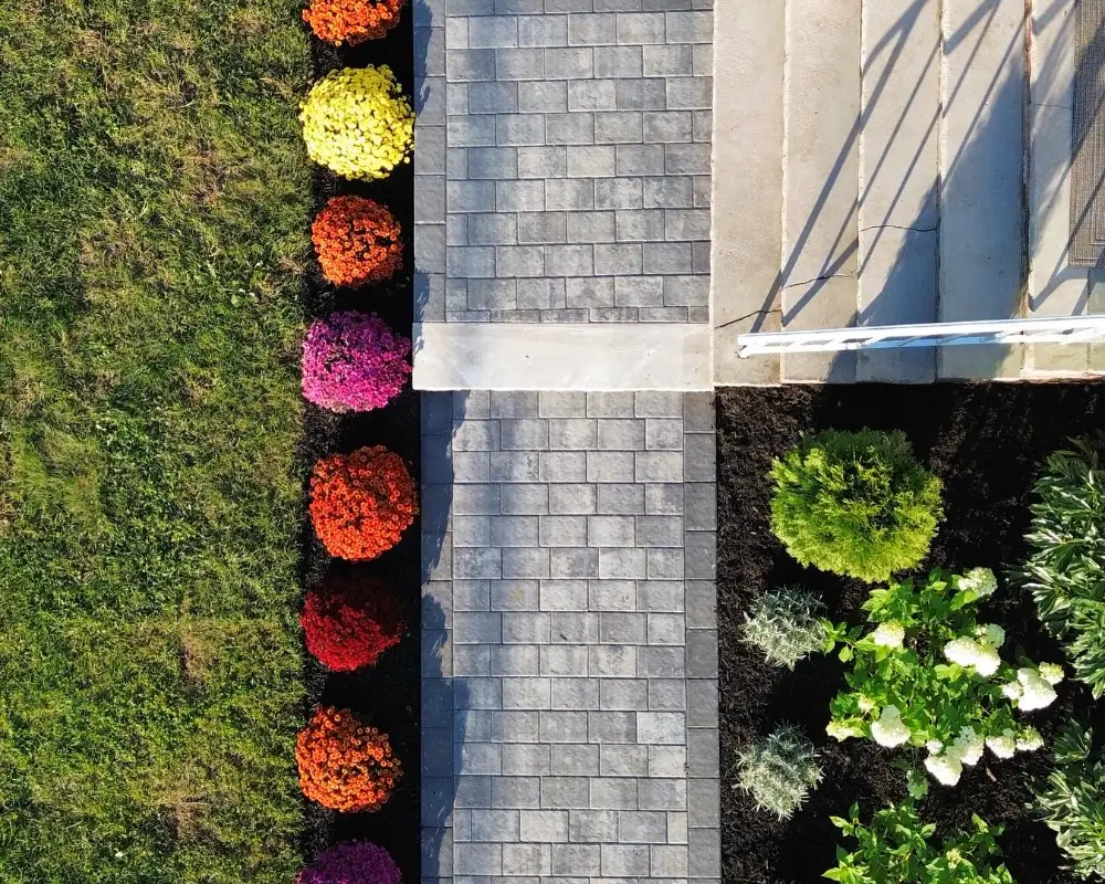 Paver Walkway with Mum & Perennial Border
